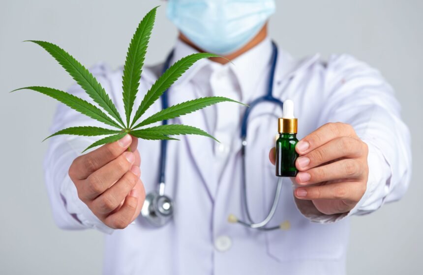Cannabis medicinal: avanço regulatório ou barreira terapêutica?