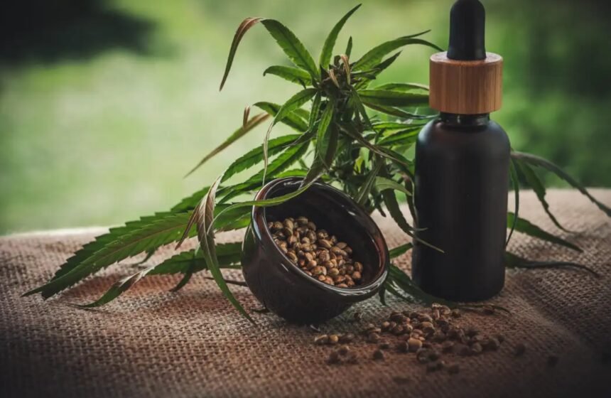 Mitos sobre cannabis medicinal persistem no Brasil mesmo com avanço de pacientes e prescrições